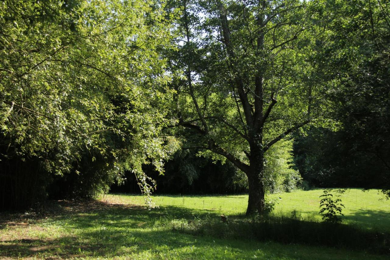Au Petit Bernerot - Les Gites De L'Arbre Voyageur Eauze Eksteriør billede